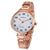 Geneva Luxury Brand Women Watches Crystal Stainless Steel Analog Quartz Wrist Watch Fashion Dress Men's Gold Watch Wholesales