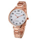 Geneva Luxury Brand Women Watches Crystal Stainless Steel Analog Quartz Wrist Watch Fashion Dress Men's Gold Watch Wholesales