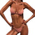 Women's swimsuit 2020 Women Push-Up Padded Bra Beach Bikini Set Swimsuit Swimwear pure color swimwear high waisted biquini